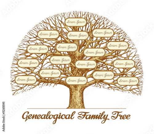 Vintage Genealogical Family Tree. Hand drawn sketch vector illustration