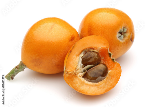 Loquat