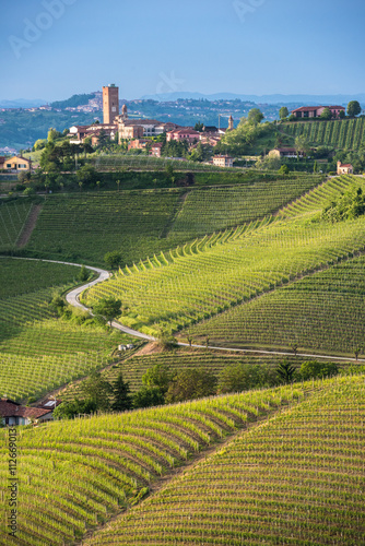 Panorama of Piedmont vineyards and Barbaresco town