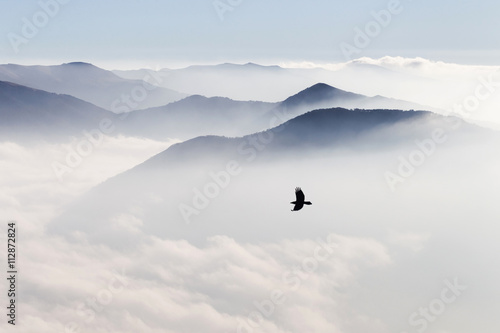 Silhouettes of mountains in the mist and bird flying