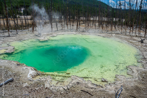 Green Cistern Spring In The Norris Geyser Basin at Yellowstone National Park, Wyoming, USA