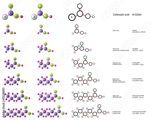 Molecules of carboxylic acid: formic acid, acetic acid, propionic acid, valeric acid, hexanoic acid