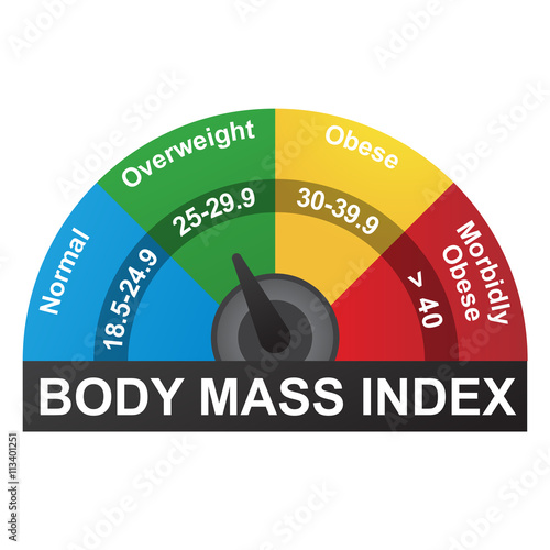 BMI or Body Mass Index Infographic Chart