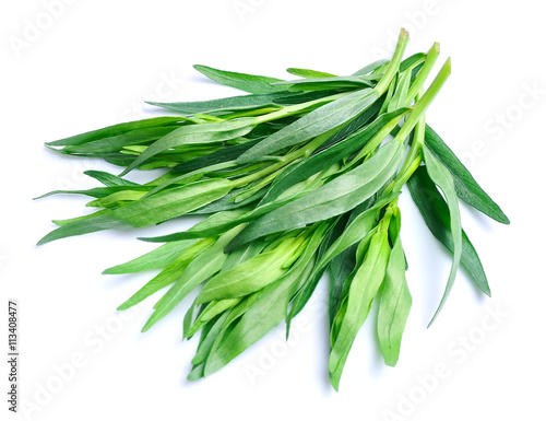 Tarragon herbs