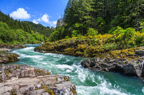 Mountain river and forest in North Cascades National Park, Washington, USA