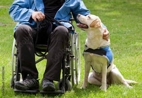 Labrador guide dog and his disabled owner