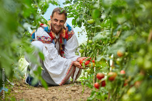 Romanian farmer in traditional costume in his greenhouse