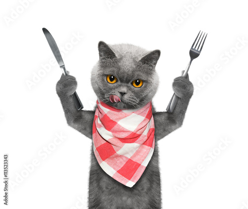 cat wants to eat and hold knife and fork