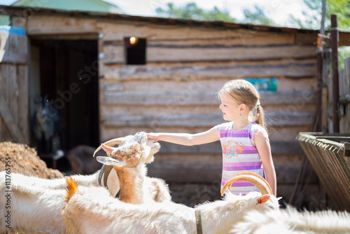 little girl with goat on the farm