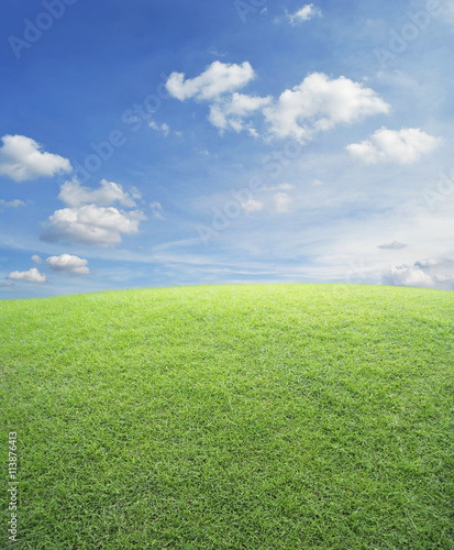 Green grass field with blue sky, nature background
