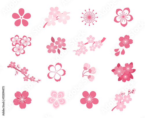 Cherry blossom japanese sakura vector icon set