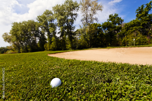 golf ball in the grass