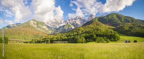 Górska,alpejska łąka