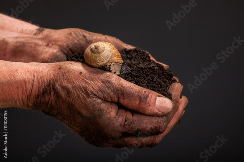 farmers hand holding soil surface