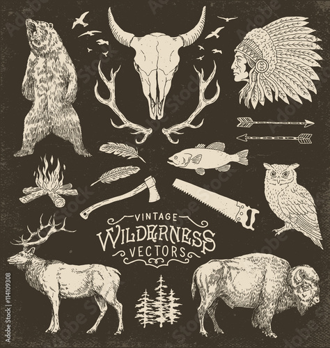 Vintage Wilderness Vector Illustration Set