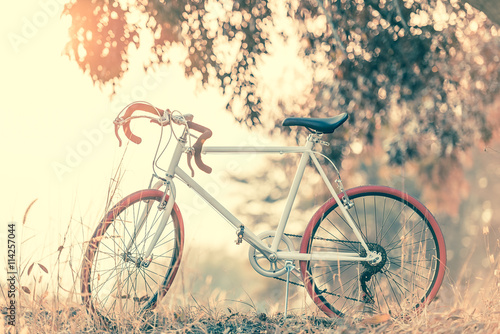Sport Vintage Bicycle with Summer grass field