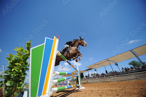 Bottom view on the horse jumping over obstacles with the rider on the horseback