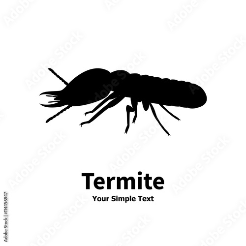 Vector illustration of a silhouette of a termite