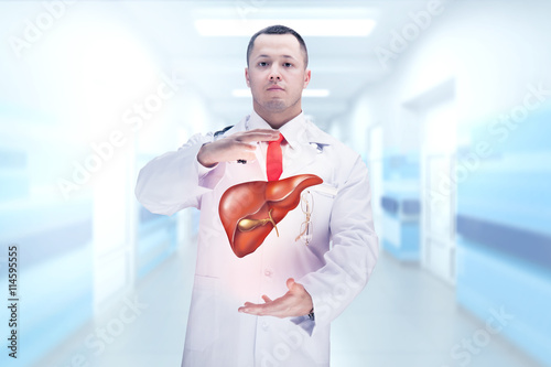 Doctor with liver in hands . High resolution.