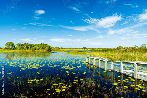 Florida Nature Preserve