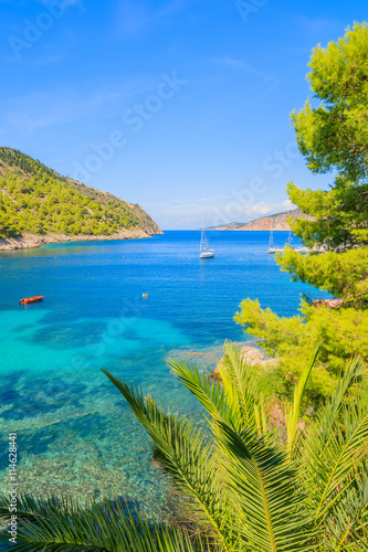 View of beautiful sea bay and palm trees in Assos town, Kefalonia island, Greece