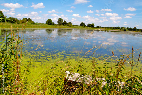 étangs de la brenne été