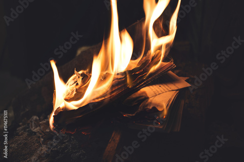 Book burning in flames, old memories vanished forever, all digitized books