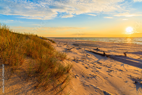 Grass on sand dunes at sunset time on a beach in Leba, Baltic Sea, Poland