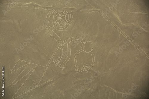 Nazca Lines, The Monkey