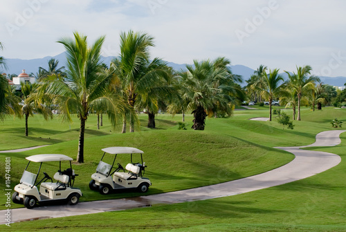 Two Golf Carts along side of a golf course.