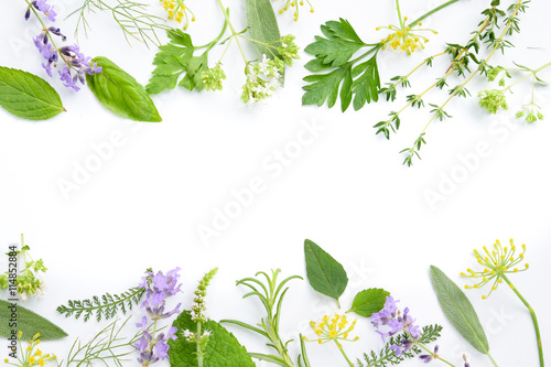 variety of fresh herbs on white background