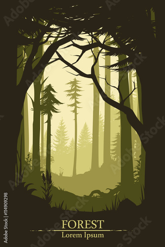 Forest illustration background