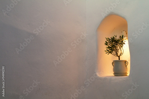 Little olive tree in flower pot into the stone wall of house. Free place for your design