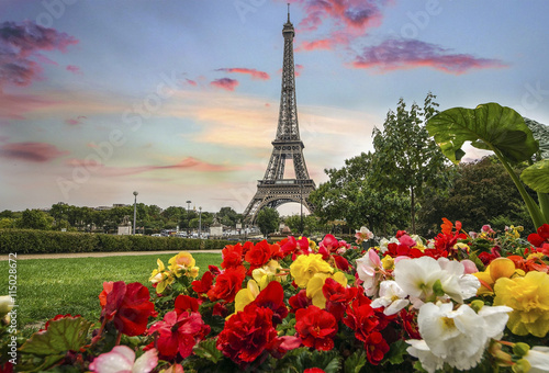 panoramę dachów miasta Paryża z Wieżą Eiffla