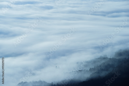 山のすそ野と阿蘇の雲海