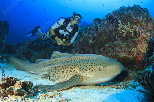 Scuba diver and Leopard Shark