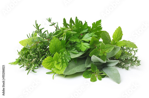 Fresh spices and herbs isolated 