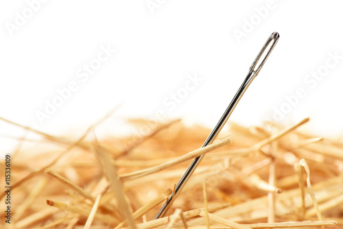Closeup of a needle in haystack. Isolted on white background