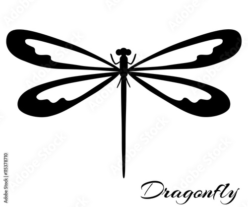 Black and white dragonfly