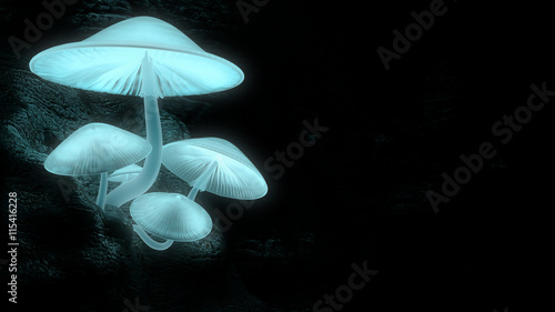 Świecące Grzyby Gromada świecących grzybów rosnących na skalistej twarzy.