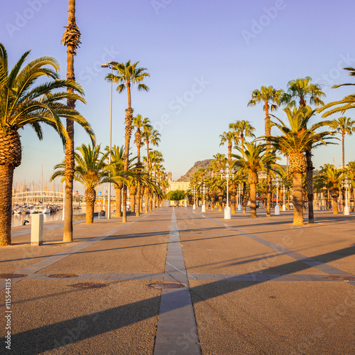 Quay with palm trees near the marina at sunrise in Barcelona. Travel to Spain