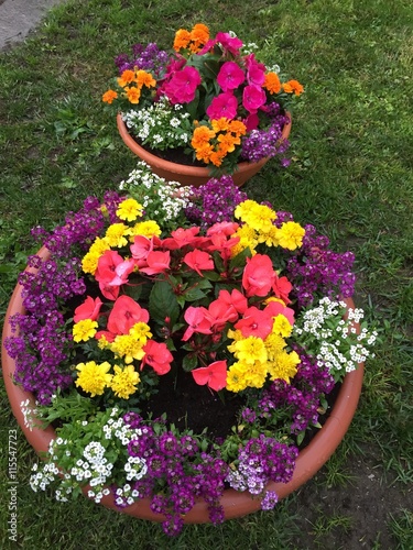 vaso di fiori fiore fioraio giardino giardinaggio moda decorazione vaso vasi