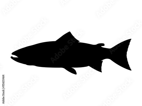 Atlantic salmon silhouette. Vector illustration.