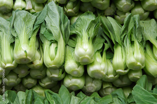 Bok choy neatly stacked for market