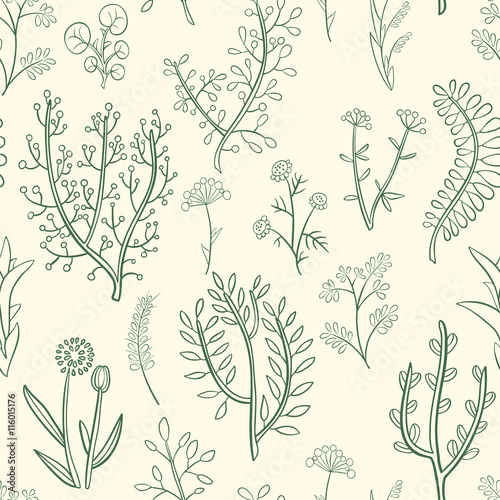  Seamless pattern of wild herbs and flowers, hand-drawn.