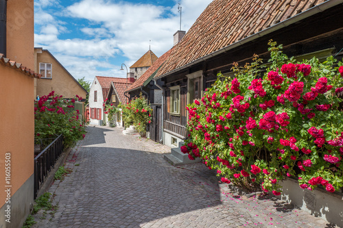 Medieval alley in the historic Hanse town Visby on Swedish Baltic sea island Gotland