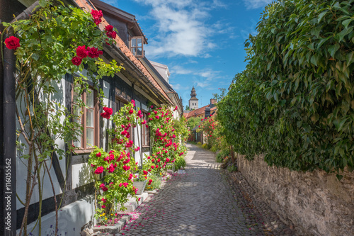 Medieval alley in the historic Hanse town Visby on Swedish Baltic sea island Gotland