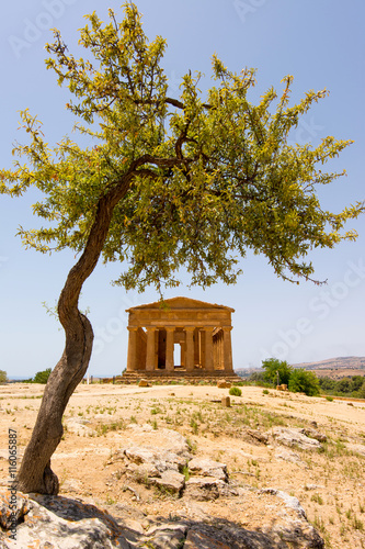 Valley of Temples, Agrigento Sicily in Italy.