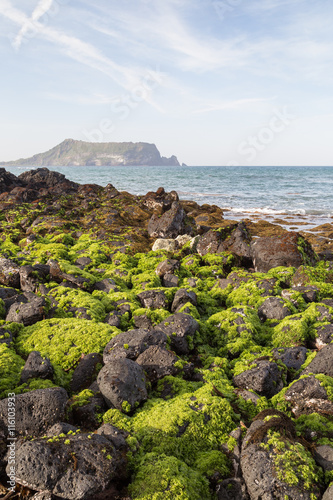 Black lava rocks covered with seaweed at Seopjikoji on Jeju Island in South Korea. Seongsan Ilchulbong is on the background.