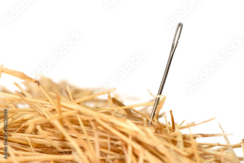 Closeup of a needle in haystack